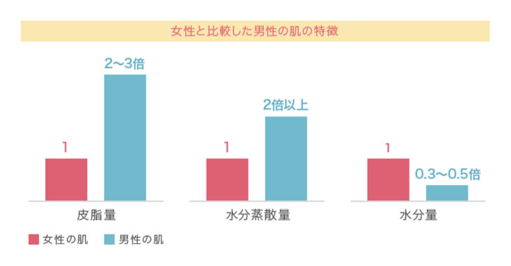 女性と比較した男性の肌の特徴