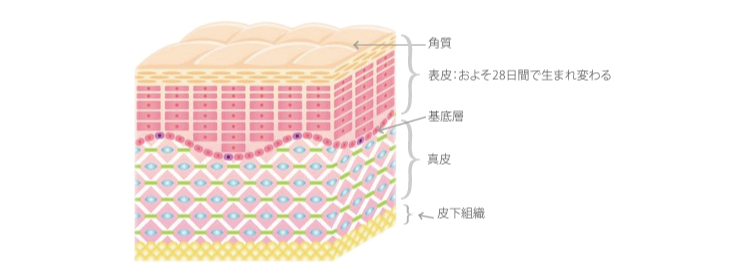 角質ケアとは？